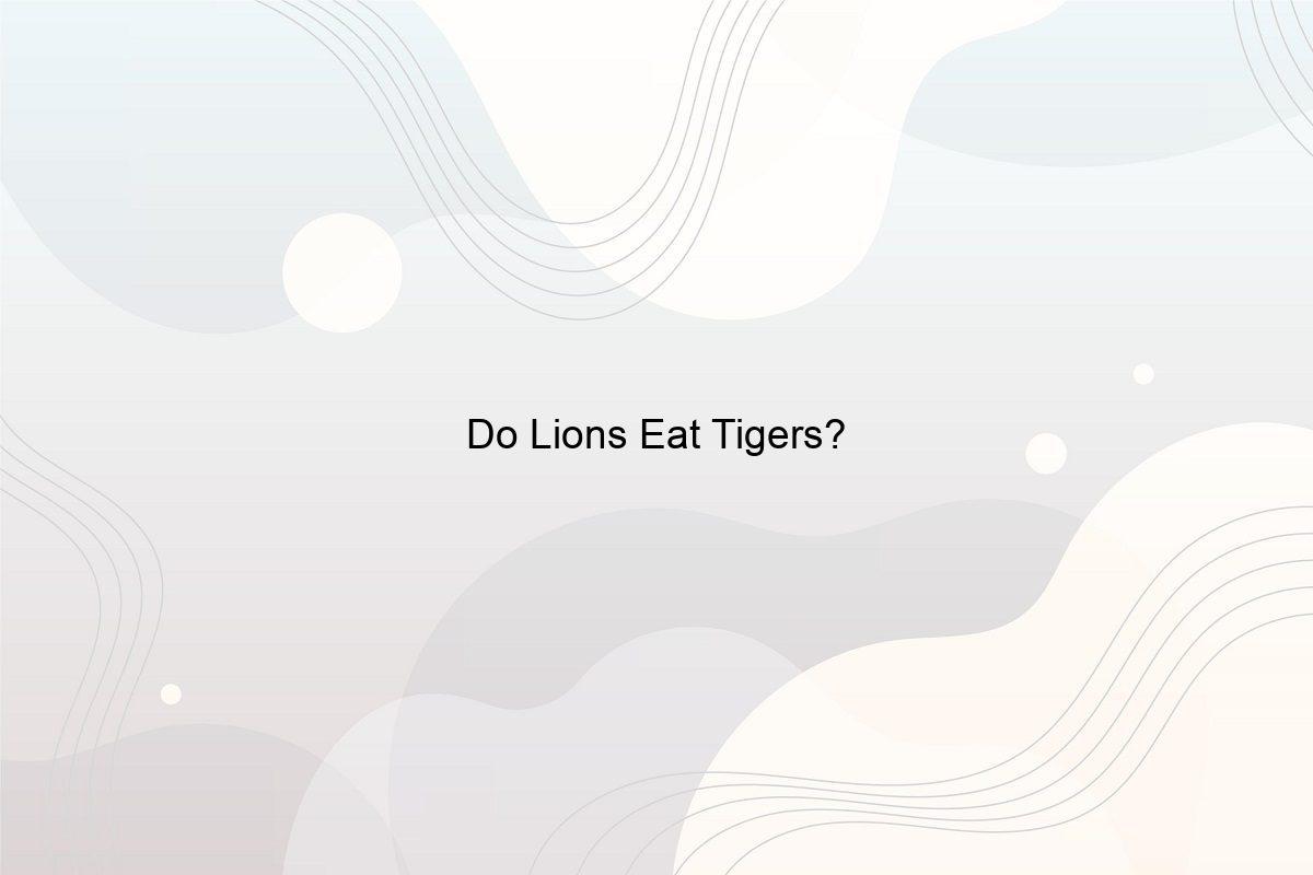 Do Lions Eat Tigers? - Speeli
